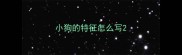 小狗的特征怎么写
