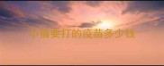 小猫要打的疫苗多少钱