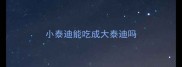 小泰迪能吃成大泰迪吗