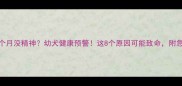 萨摩耶8个月没精神幼犬健康预警这8个原因可能致命附急救指南