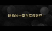 暗拍哈士奇在家搞破坏