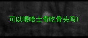可以喂哈士奇吃骨头吗