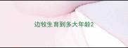 边牧生育到多大年龄