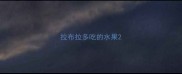 拉布拉多吃的水果