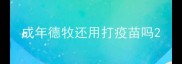 成年德牧还用打疫苗吗