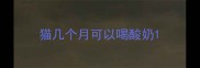 猫几个月可以喝酸奶