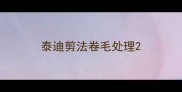 泰迪剪法卷毛处理