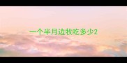 一个半月边牧吃多少