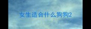 女生适合什么狗狗