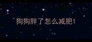 狗狗胖了怎么减肥