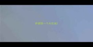 萨摩耶一个月花销