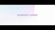 金毛掉毛是什么原因呢