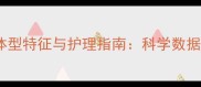 两个月大猫咪的体型特征与护理指南科学数据幼猫成长全周期