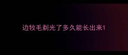 边牧毛剃光了多久能长出来