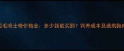 短毛哈士奇价格全多少钱能买到饲养成本及选购指南