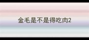 金毛是不是得吃肉