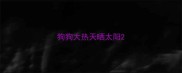 狗狗大热天晒太阳