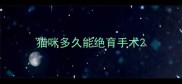 猫咪多久能绝育手术