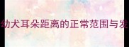 哈士奇幼犬耳朵距离的正常范围与发育规律