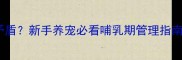 大狗抢奶引发矛盾新手养宠必看哺乳期管理指南附实操案例