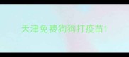 天津免费狗狗打疫苗