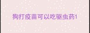 狗打疫苗可以吃驱虫药