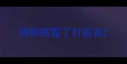 狗狗感冒了打疫苗
