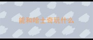 能和哈士奇玩什么