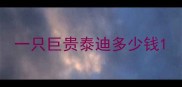 一只巨贵泰迪多少钱