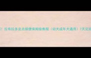 新手必看拉布拉多定点排便保姆级教程幼犬成年犬通用7天见效零失败