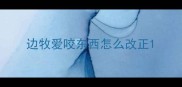 边牧爱咬东西怎么改正