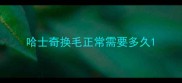 哈士奇换毛正常需要多久