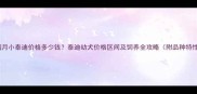 刚满月小泰迪价格多少钱泰迪幼犬价格区间及饲养全攻略附品种特性