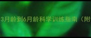 狗狗寻回训练黄金期3月龄到6月龄科学训练指南附训练步骤与注意事项