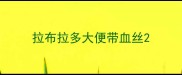 拉布拉多大便带血丝