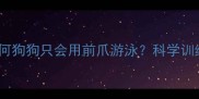宠物医生为何狗狗只会用前爪游泳科学训练指南来了