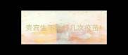 贵宾生下来打几次疫苗