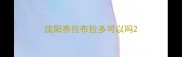 沈阳养拉布拉多可以吗
