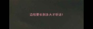 边牧要长到多大才听话