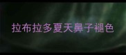 拉布拉多夏天鼻子褪色