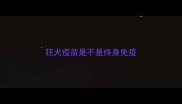 狂犬疫苗是不是终身免疫