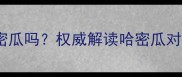 拉布拉多可以吃哈密瓜吗权威解读哈密瓜对金毛的益处与风险