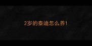 2岁的泰迪怎么养