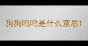 狗狗呜呜是什么意思