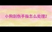 小狗刮伤手指怎么处理