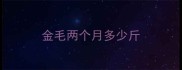 金毛两个月多少斤