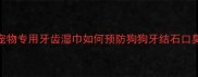 天然植物成分宠物专用牙齿湿巾如何预防狗狗牙结石口臭科学护理指南