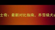 萨摩耶VS哈士奇最新对比指南养雪橇犬必看全攻略