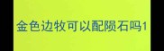 金色边牧可以配陨石吗