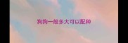 狗狗一般多大可以配种